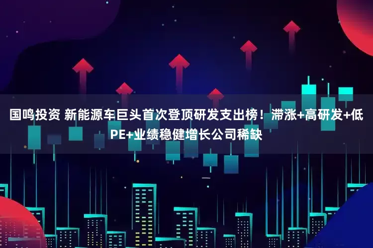 国鸣投资 新能源车巨头首次登顶研发支出榜！滞涨+高研发+低PE+业绩稳健增长公司稀缺